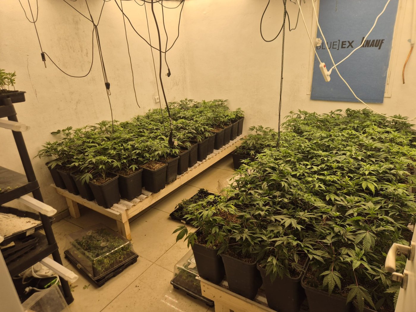 דוברות משטרת ישראל