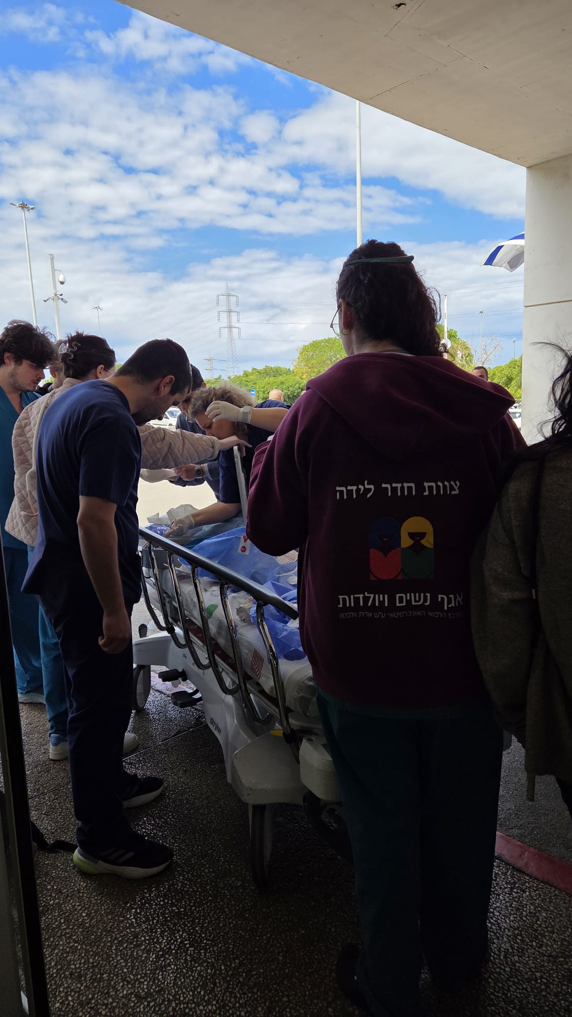 דוברות וולפסון