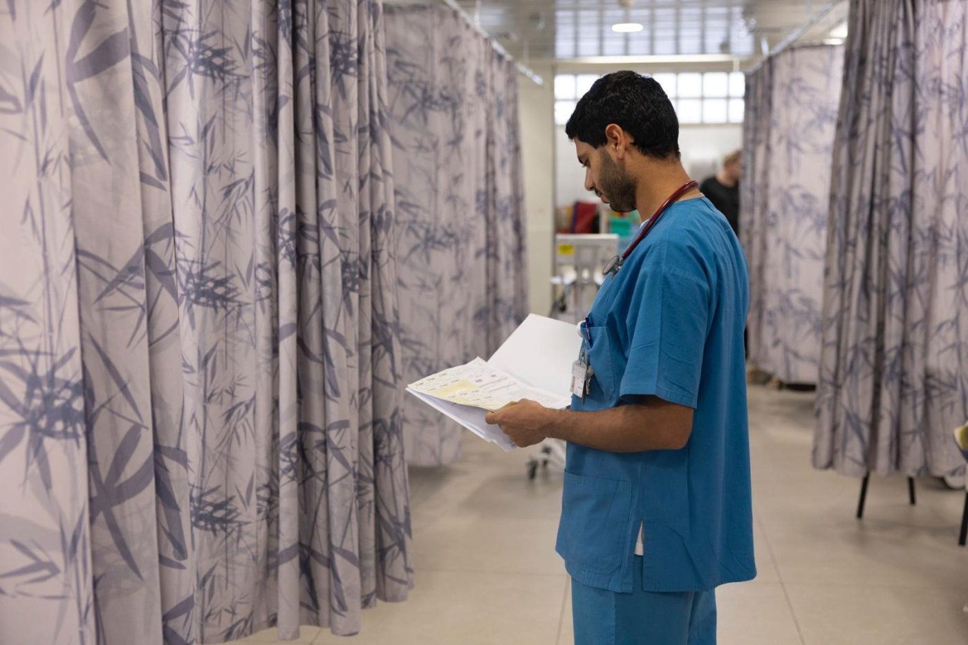 דוברות וולפסון