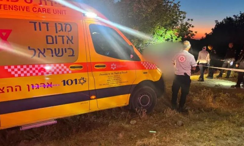 בני הזוג מראשון לציון נמצאו ברכב כשהם ירויים וללא רוח חיים