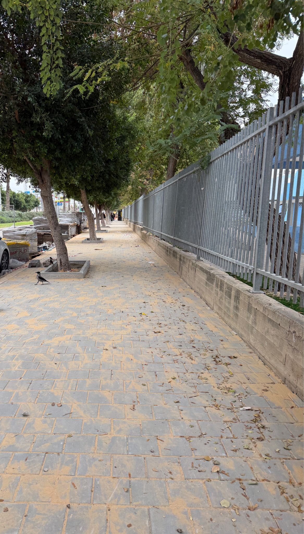 עיריית חולון