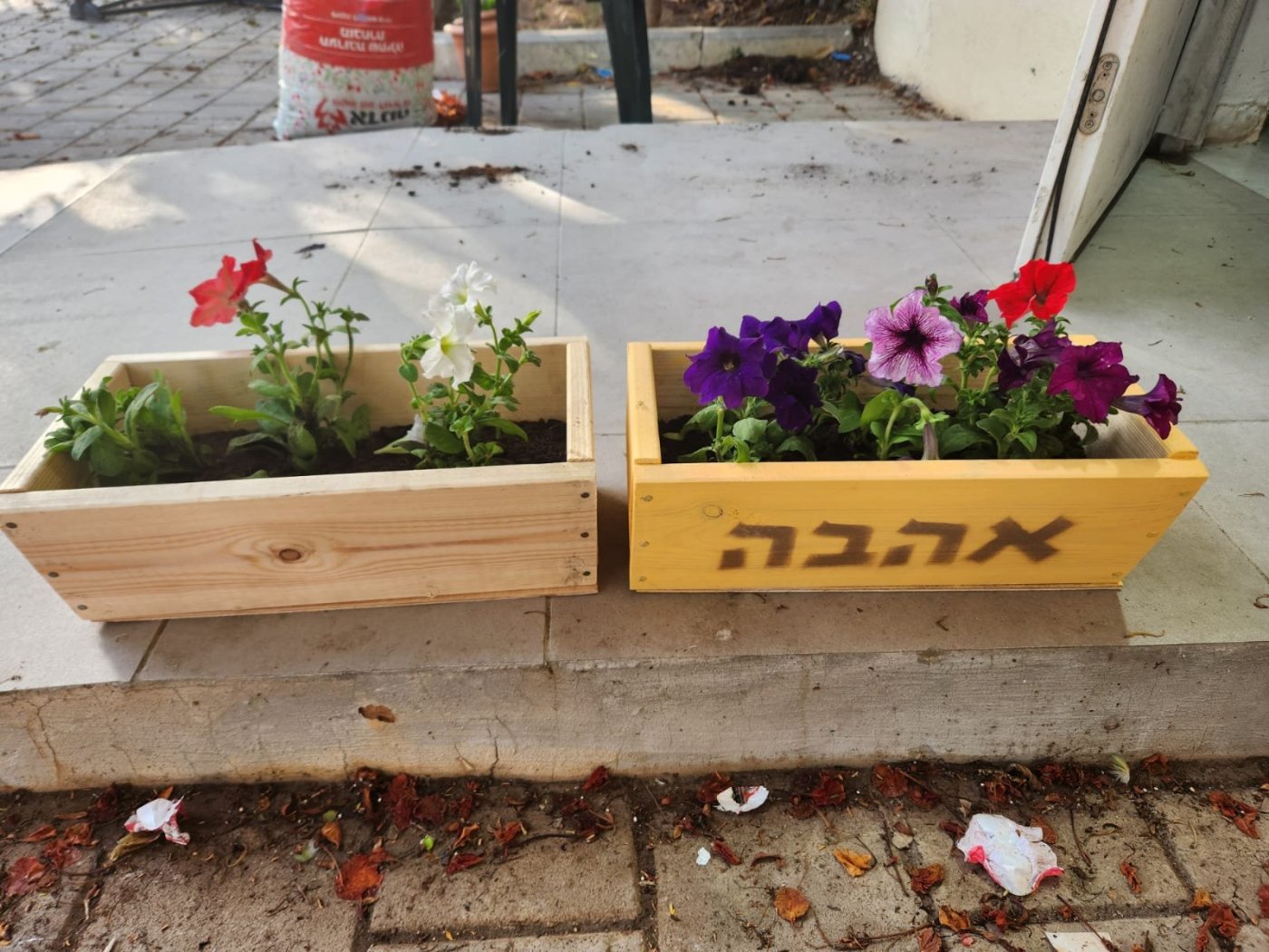 עיריית בת ים