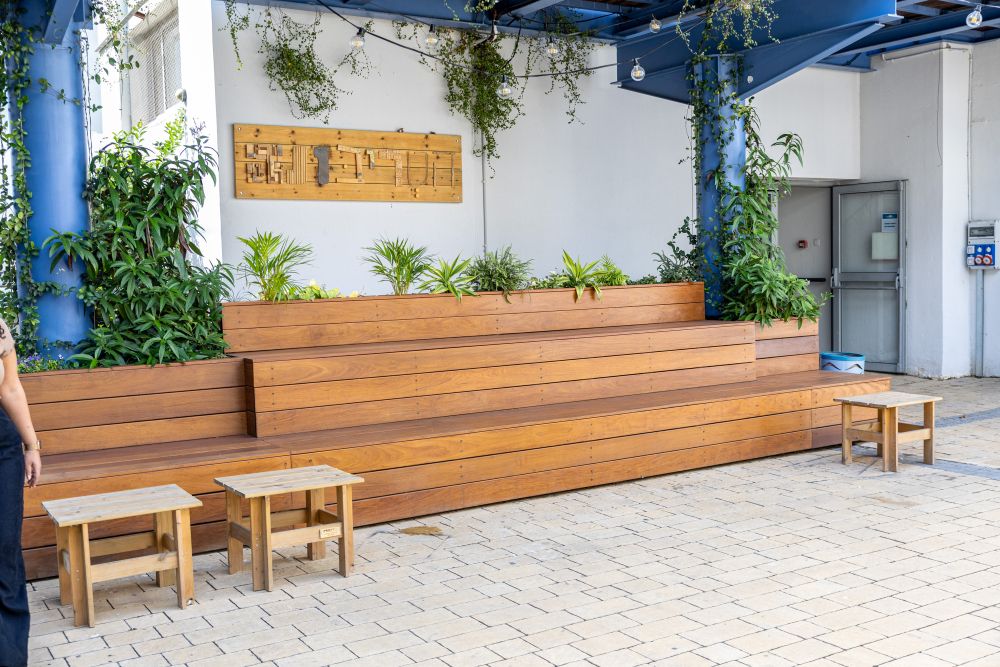 אילנית קיצוני