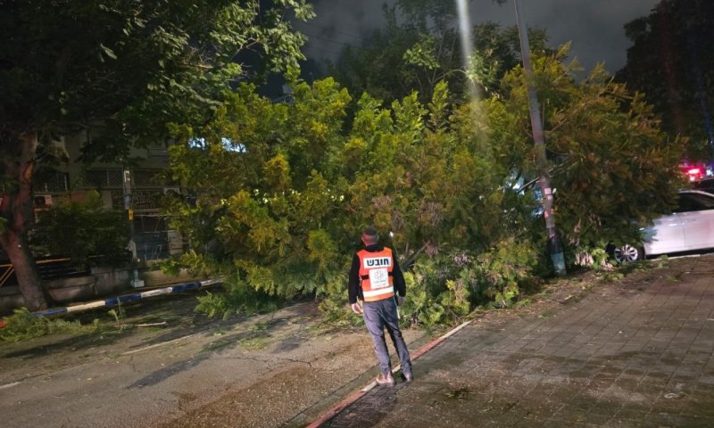 קריסת עץ ותאונת אופנוע בחולון