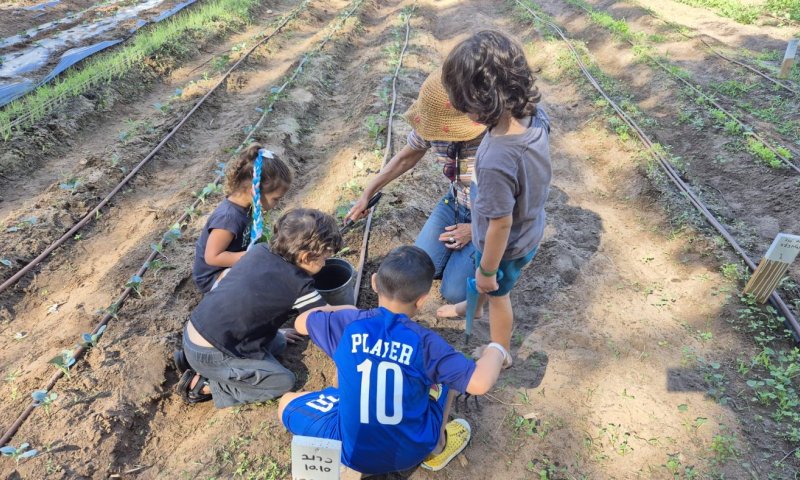 חגיגות ט"ו בשבט 2026, בבת ים