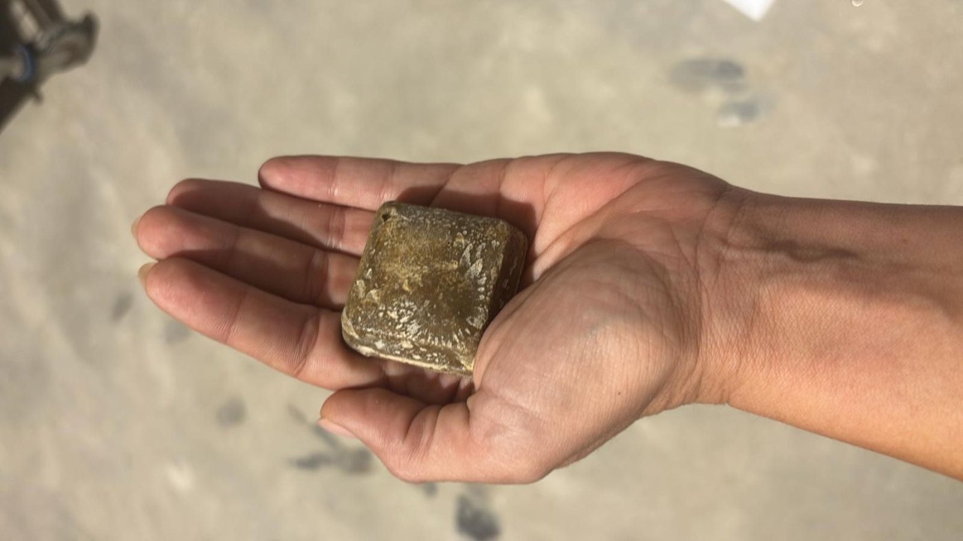 החל פיזור פתיונות חיסון בבת ים כנגד מחלת הכלבת