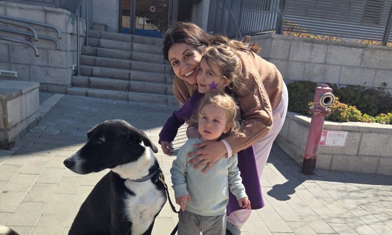 עיריית ראשון לציון סייעה לתושבת העיר עם כלבהּ, בזמן שבעלה במילואים