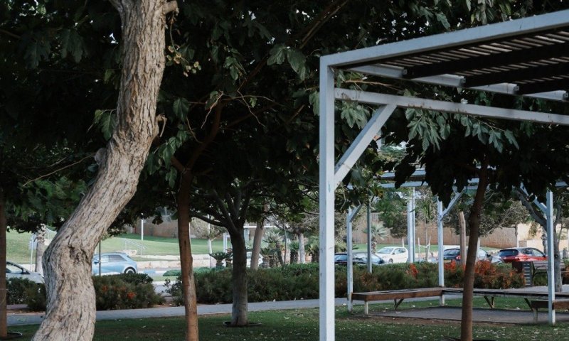 עצמאות 78 בבת-ים: רשימת המקומות המאושרים להדלקת מנגלים