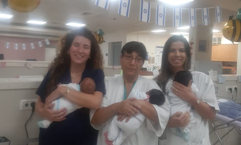 שמיר יולדות מסכם את שנת התשפ"ה עם 8,639 לידות