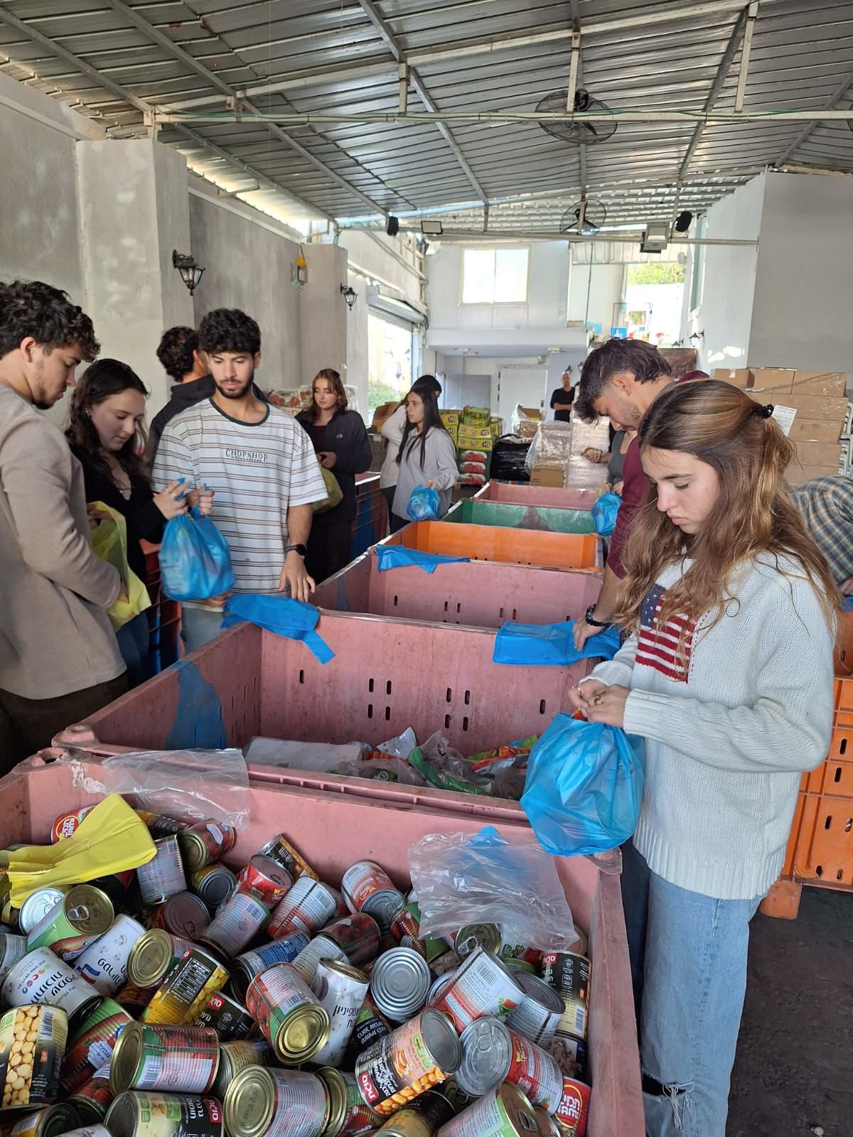 מכינה קדם צבאית בינ'ה