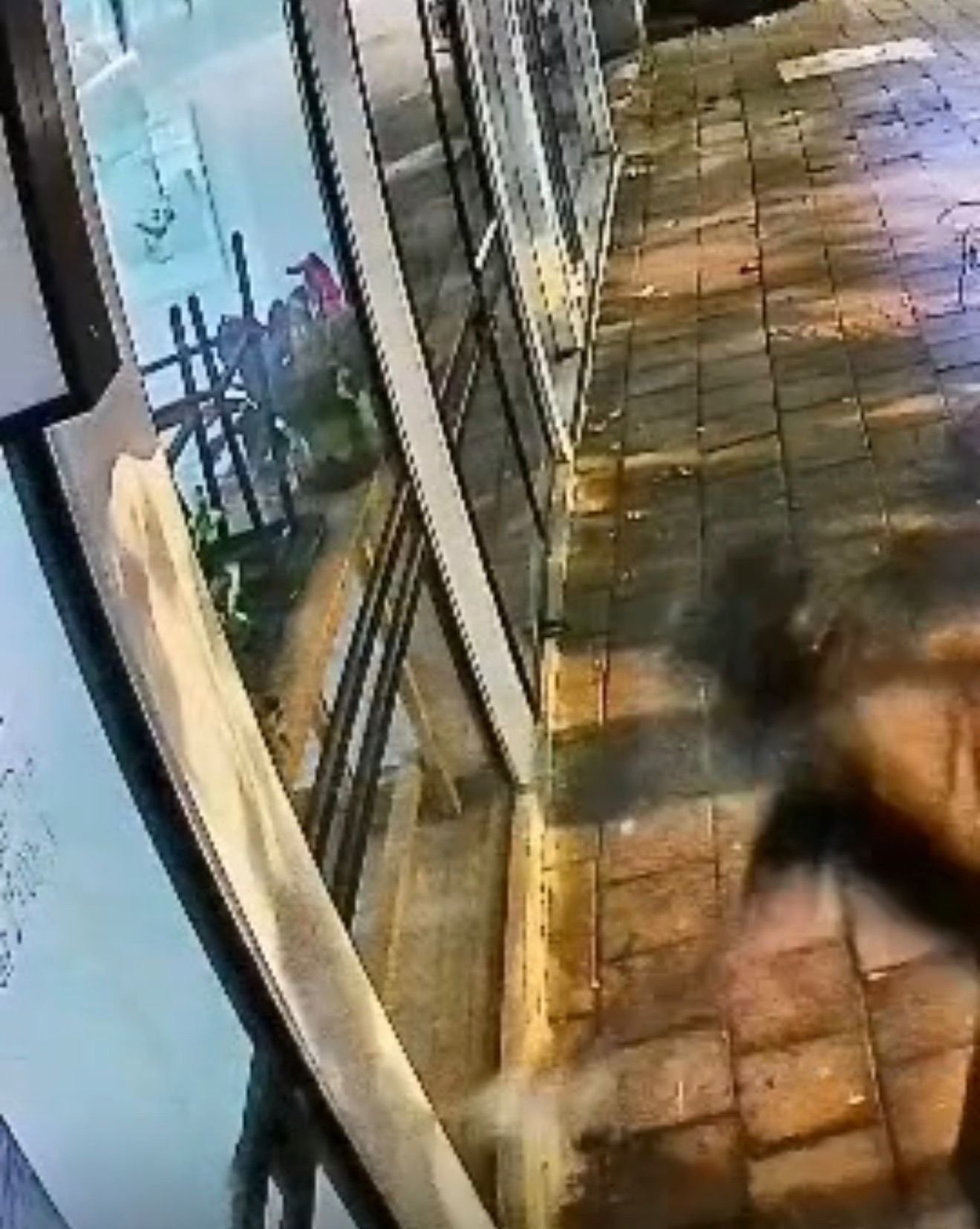 אש נגד החופש: בפעם השלישית: בית הקפה &ldquo;בנדיטה&rdquo; ברמת גן הוצת