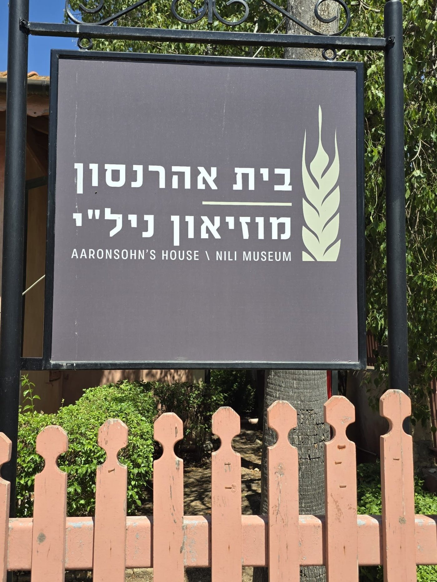 יחצ