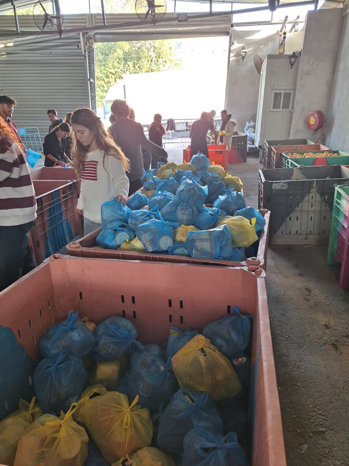 מכינה קדם צבאית בינ'ה