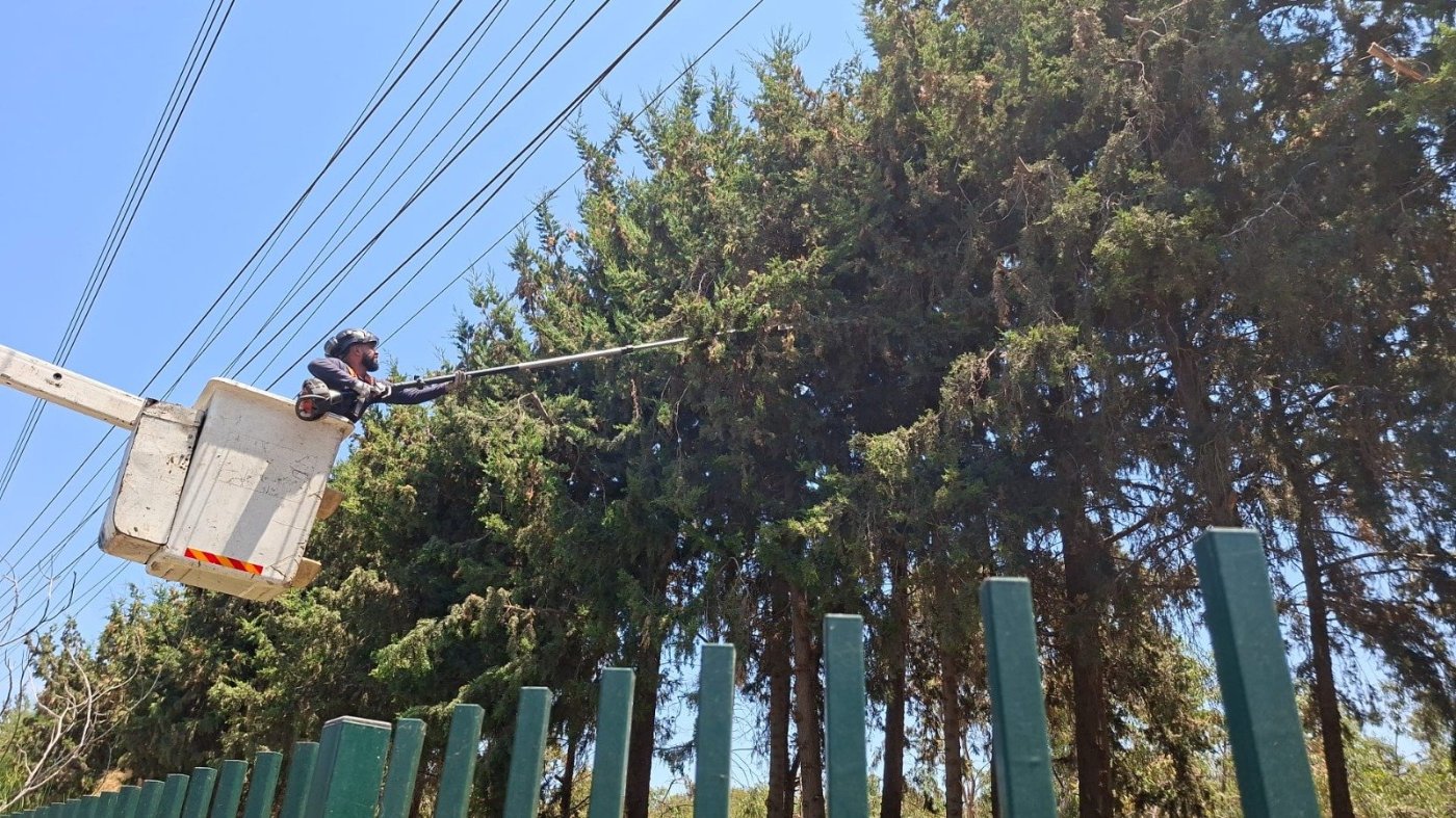 נערכים מראש: חברת החשמל השלימה עבודות גיזום בחולון