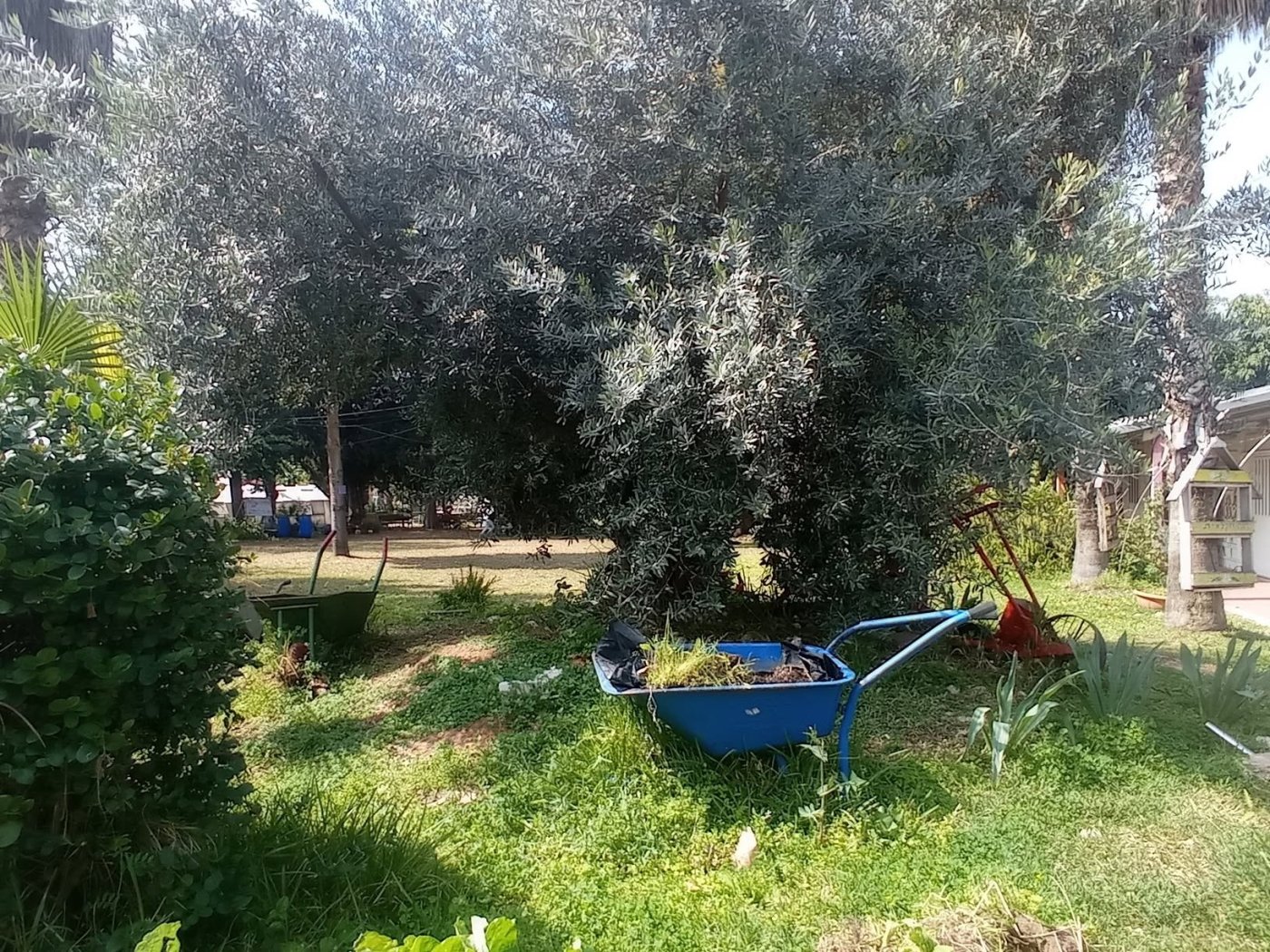 אושרה תוכנית החווה החקלאית בחולון: שיקום לצד שמירת השטחים הירוקים