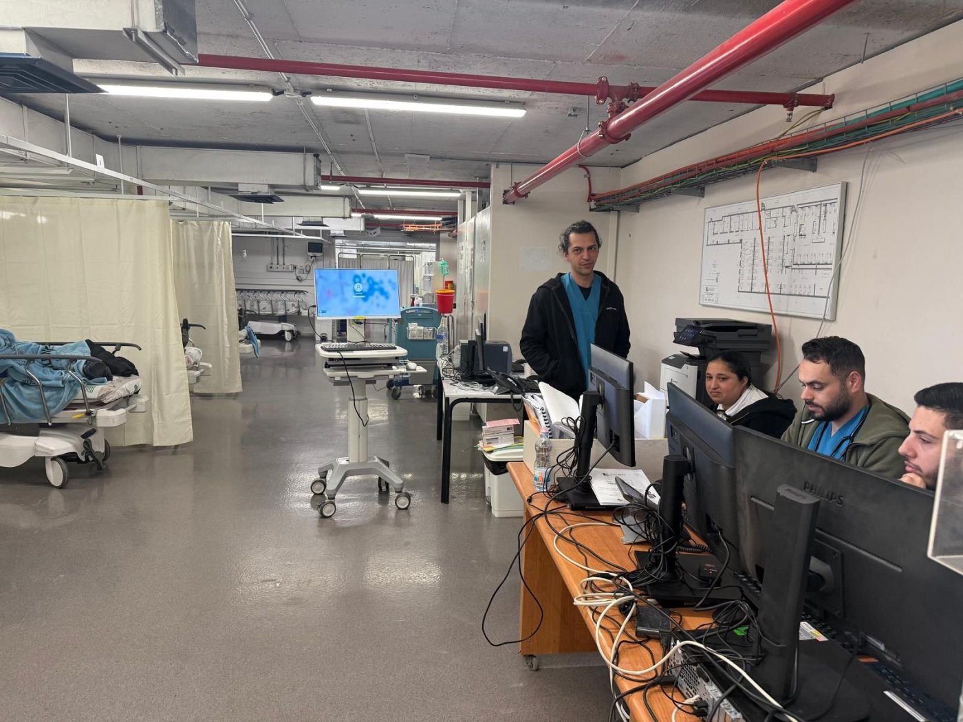 דוברות וולפסון