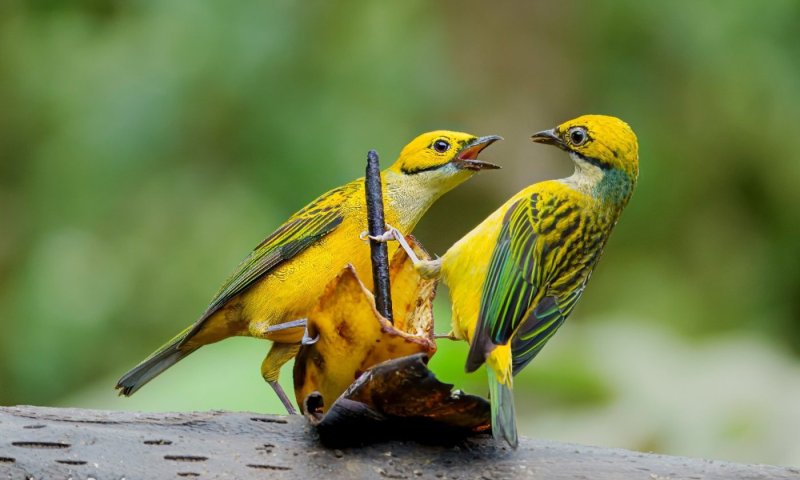  עדשה מקומית: מועדון הצילום רחובות משיק שתי תערוכות חדשות בבית יד לבנים
