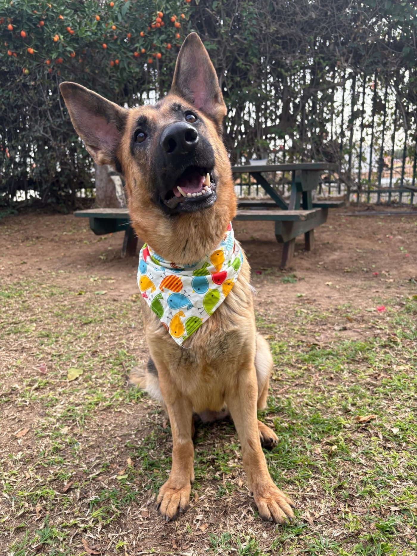 עיריית ראשון לציון