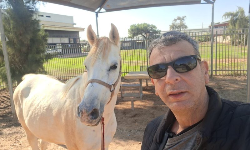 חולון דואגת לבעלי החיים