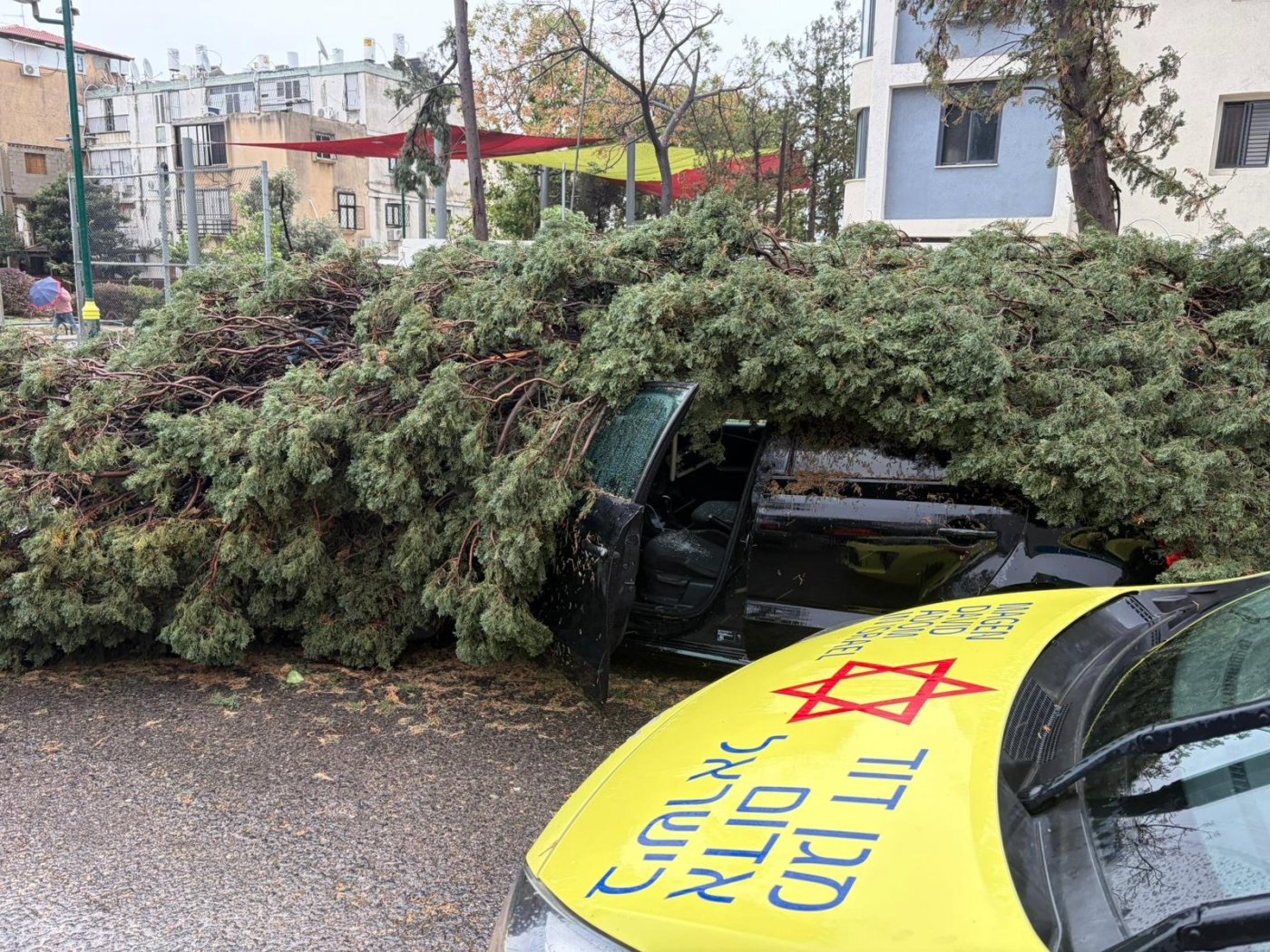 פצוע בקריסת עץ על רכב בשכונת רמת אליהו