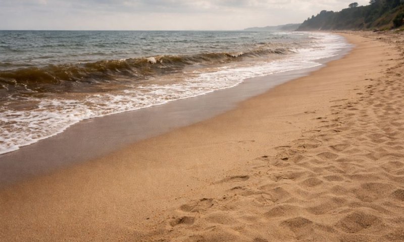 אזהרת רחצה בחוף פלמחים