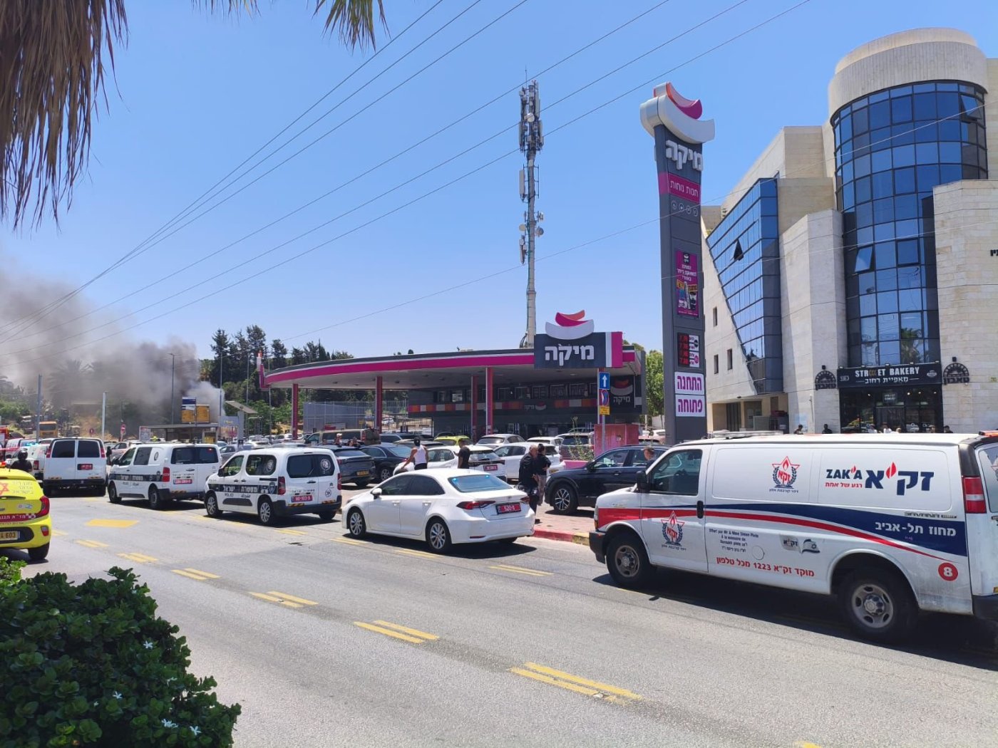 דוברות זקא