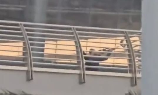 בהלה במרכז מסחרי הומה ראשון לציון: תושבים דיווחו על אדם עם רובה, המשטרה פתחה בחקירה