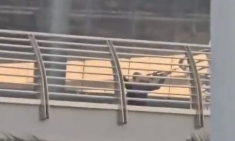 בהלה במרכז מסחרי הומה ראשון לציון: תושבים דיווחו על אדם עם רובה, המשטרה פתחה בחקירה