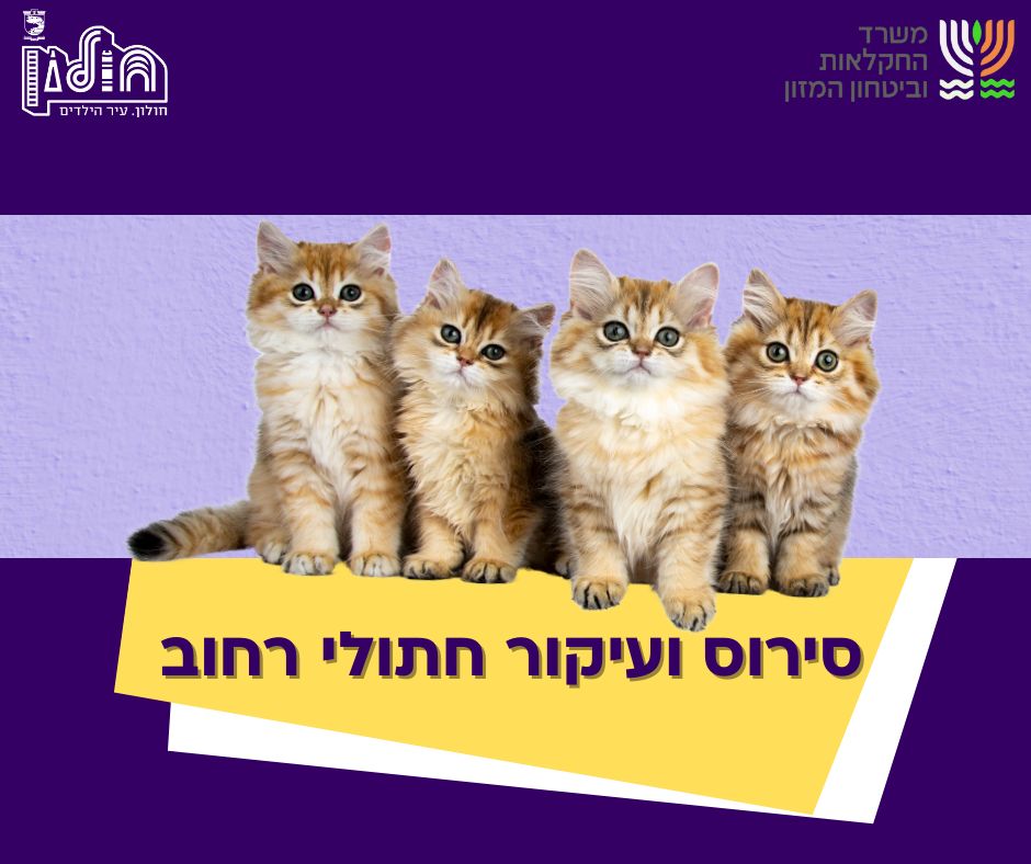 מבצע עיקור וסירוס חתולי רחוב בחולון