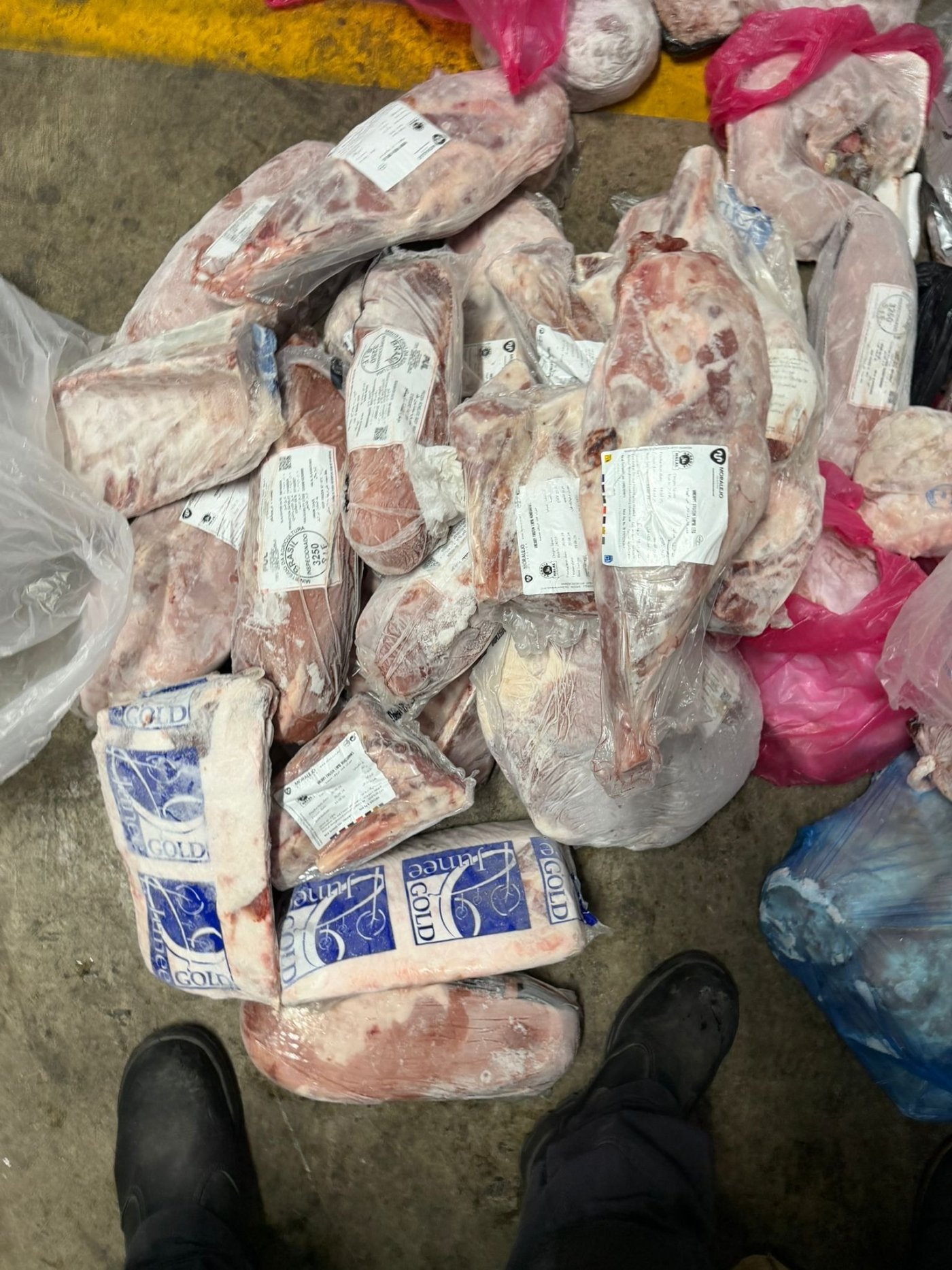 עיריית בת ים