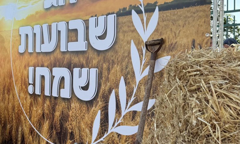 אירועי שבועות 2026 בבת ים
