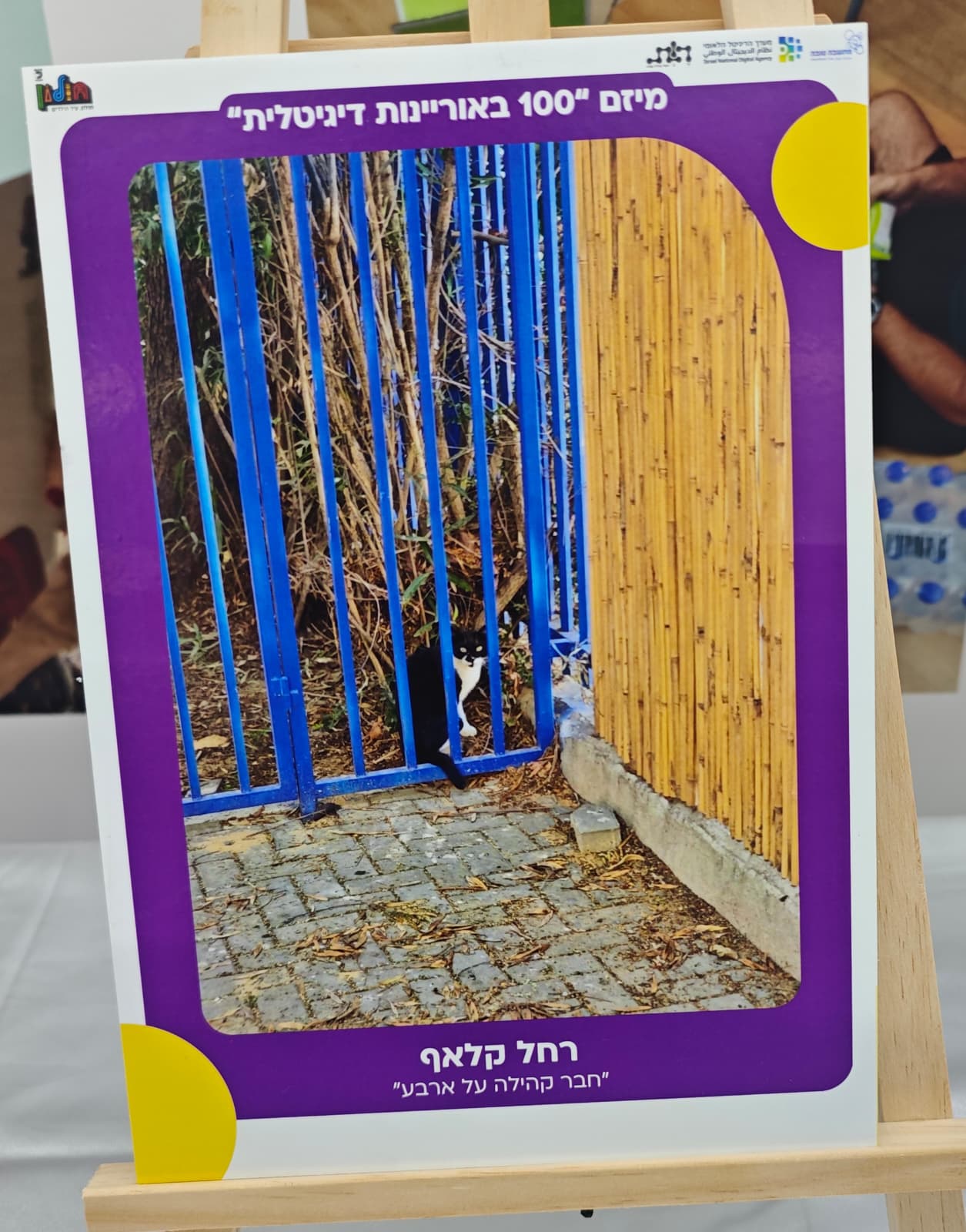 עיריית חולון