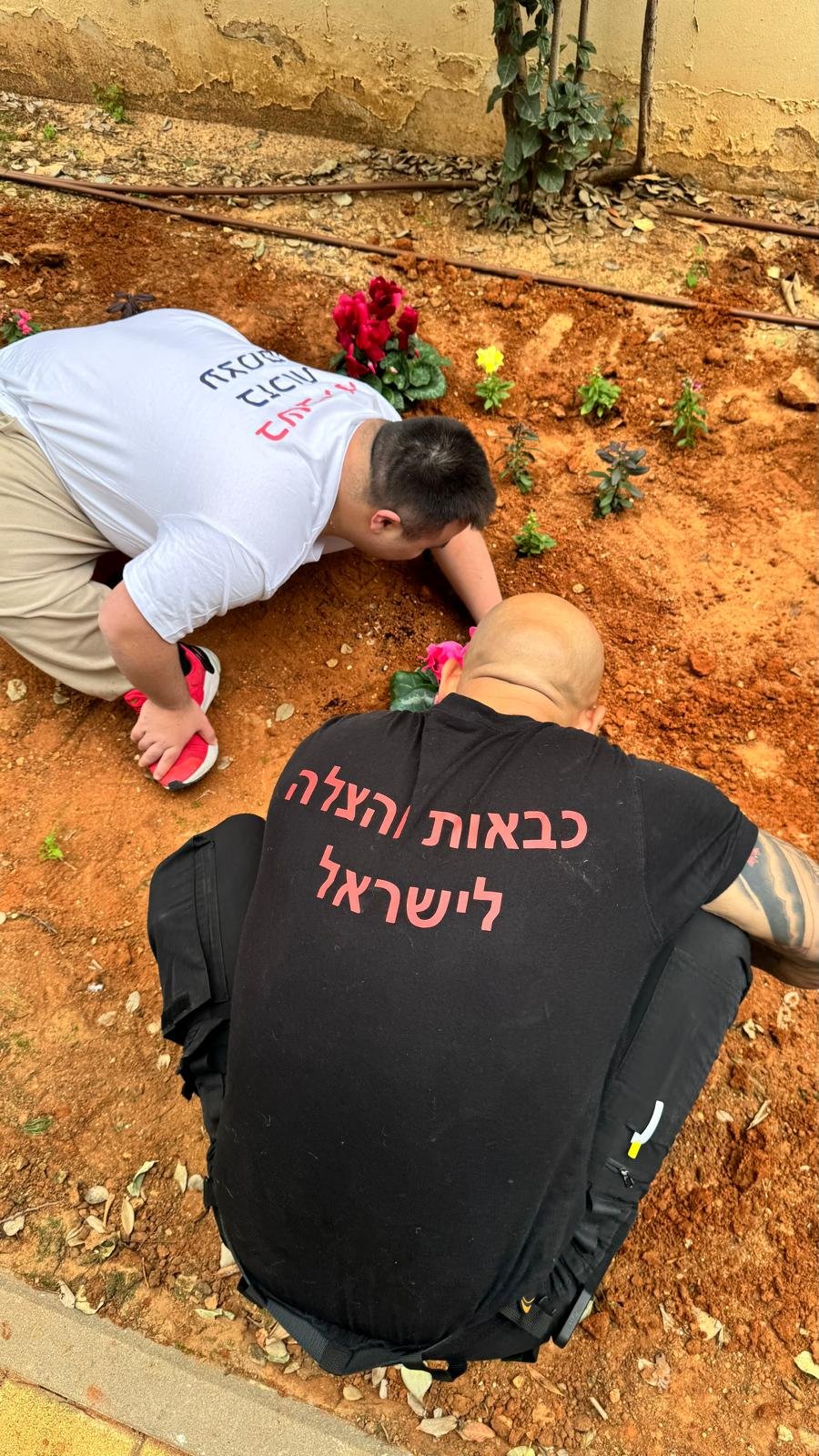 עיריית בת ים