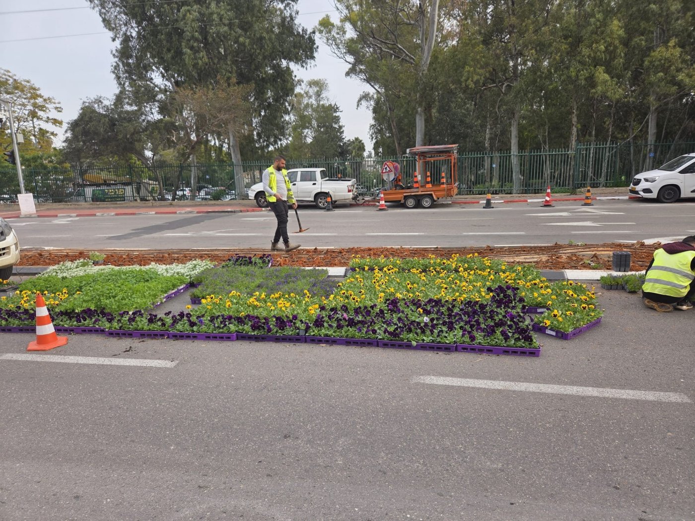 עיריית חולון