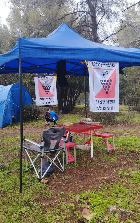 נווטי ראשון לציון הרשימו באליפות החורף