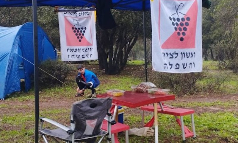 נווטי ראשון לציון הרשימו באליפות החורף