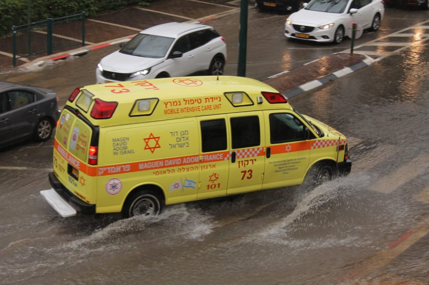 ברוך הופמן, דוברות מדא