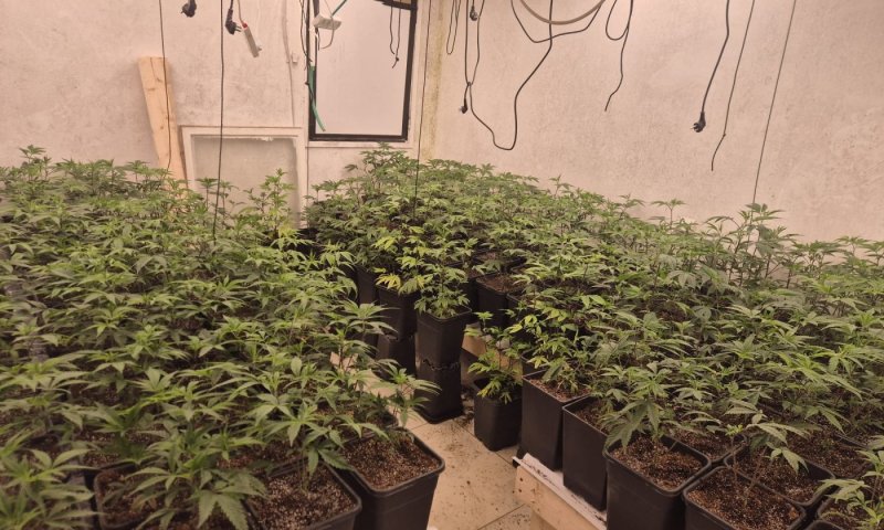 נחשפה "דירת סמים" בשכונת קריית שרת בחולון