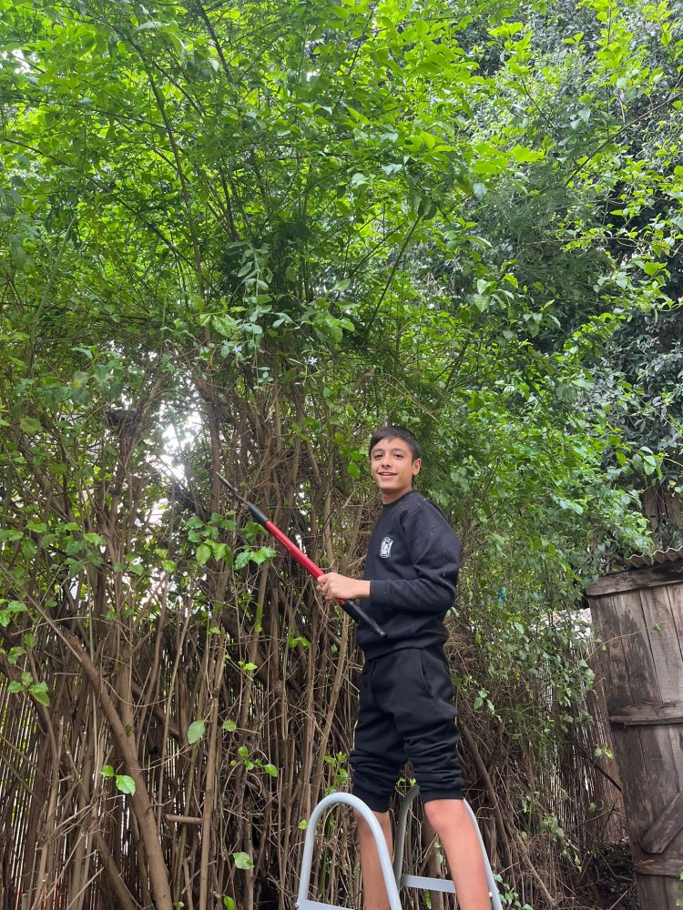 מקווה ישראל