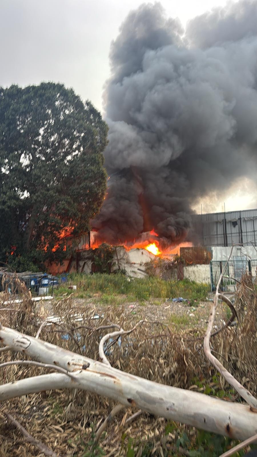 דוברות כבאות והצלה