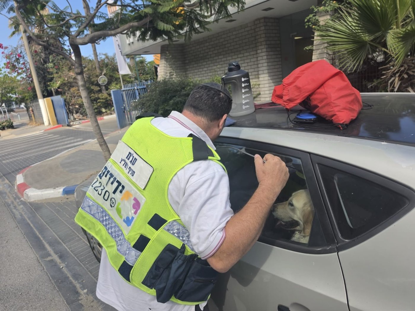 ידידים