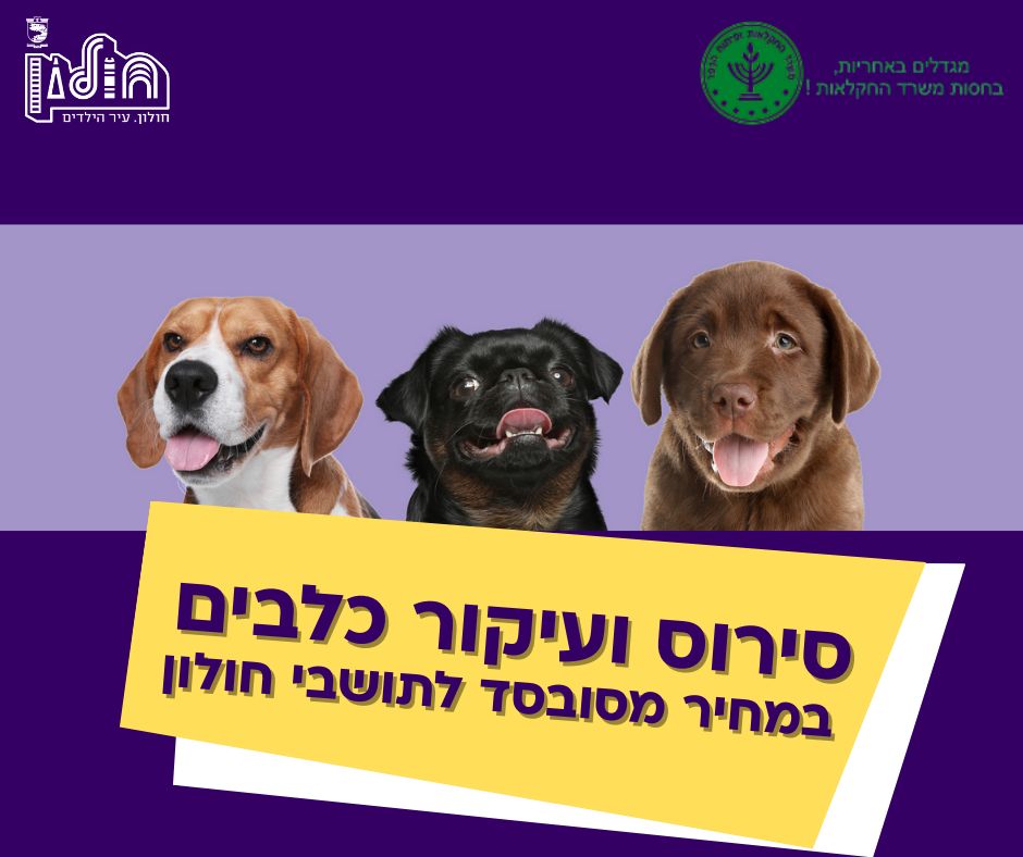 מבצע סירוס כלבים לתושבי חולון