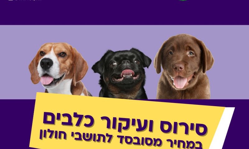 מבצע סירוס כלבים לתושבי חולון