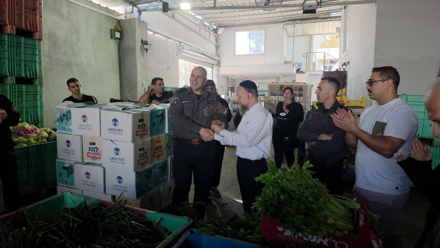 דוברות כבאות והצלה