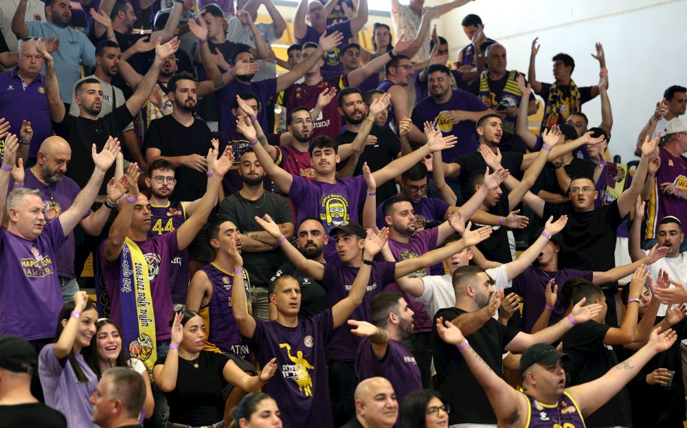 אלן שיבר, מנהלת הליגה