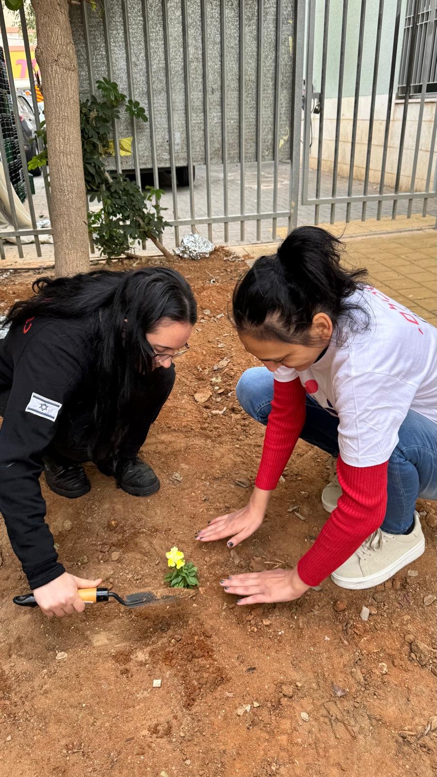 עיריית בת ים