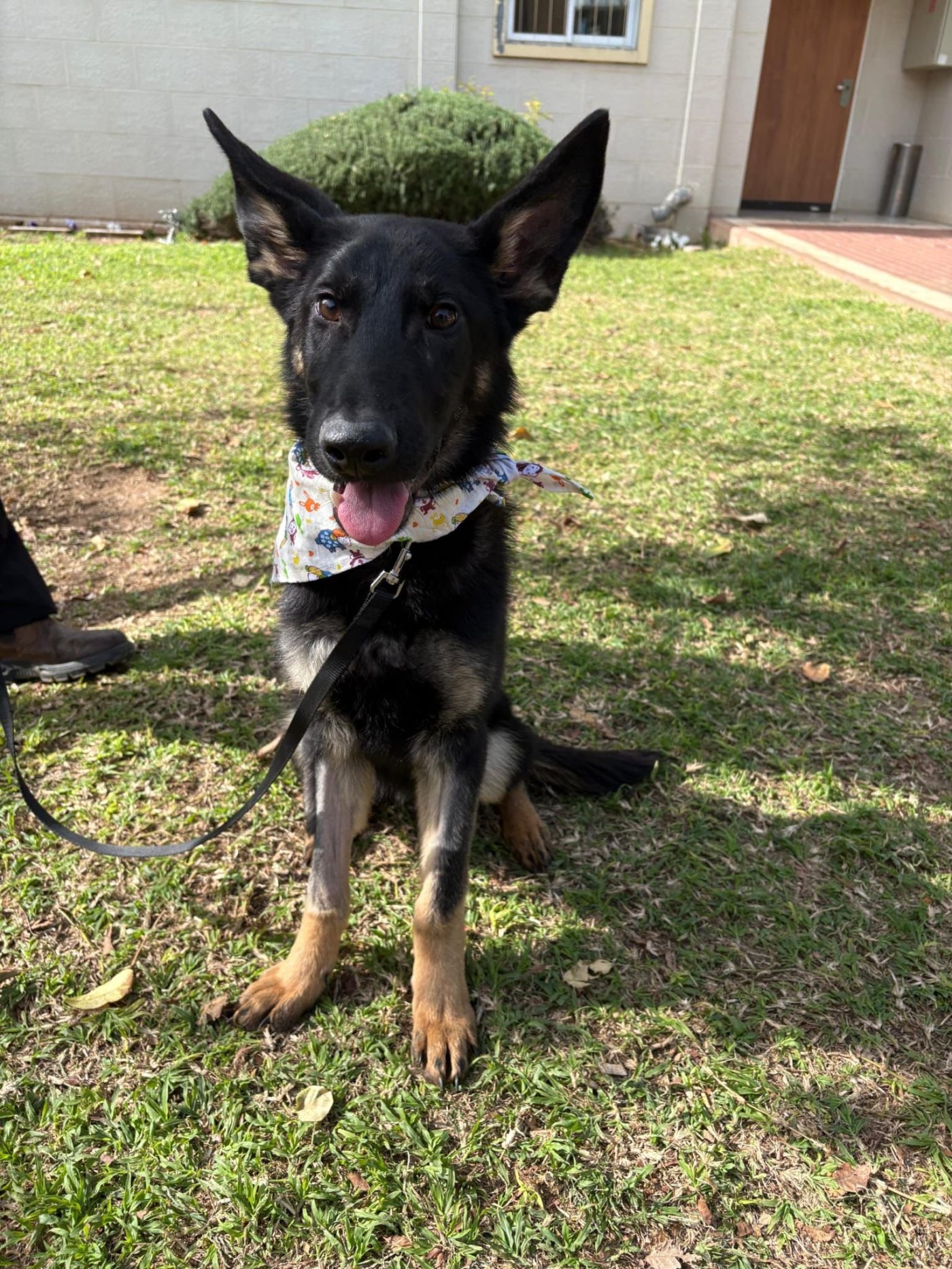 עיריית ראשון לציון