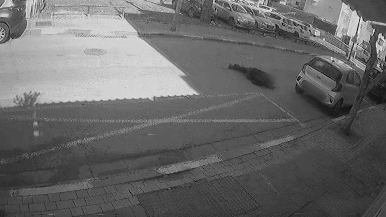 דוברות משטרת ישראל