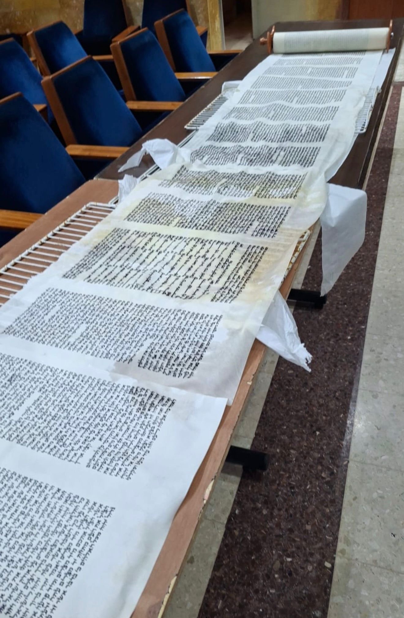 חיים בוכריץ