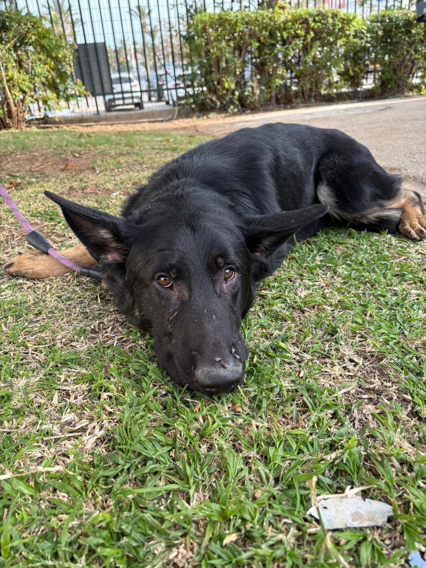 עיריית ראשון לציון